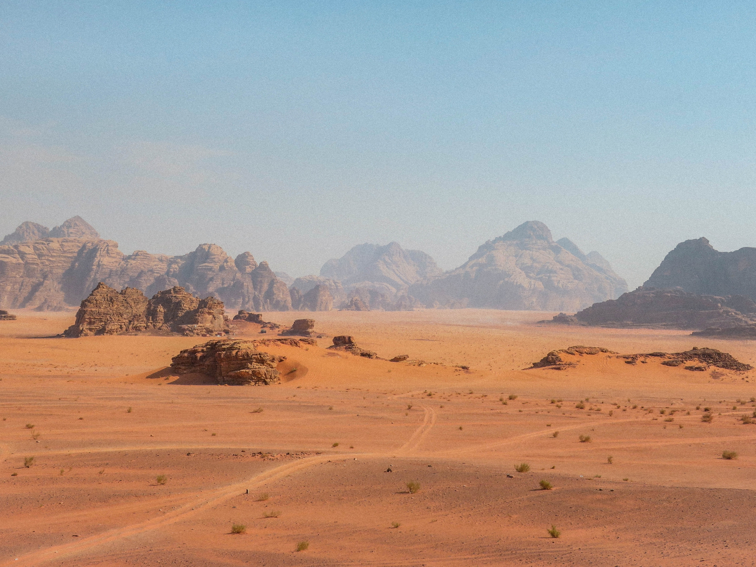 What are the Top Holistic Therapies for Addiction and Mental Health?