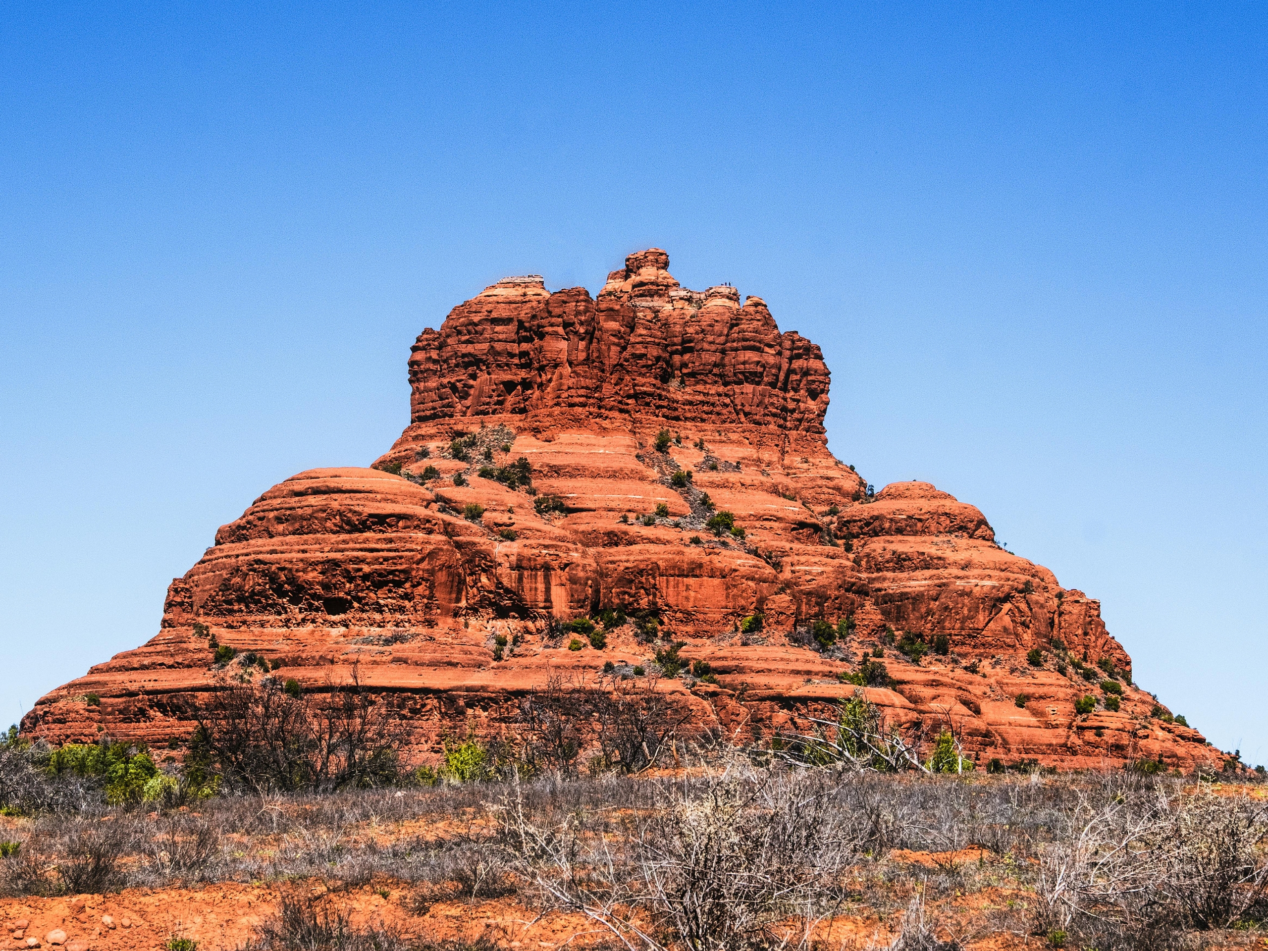 What is Trauma-Focused Cognitive Behavioral Therapy?