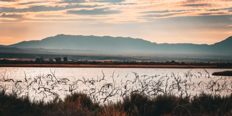 Depression vs. Sadness