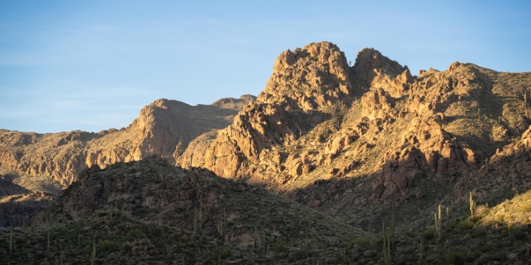 Is Depression a Disease?