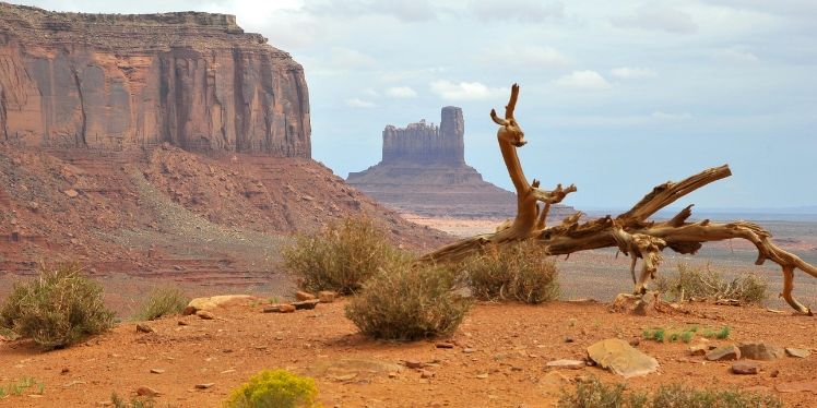 Long-Term Clinical Care vs. Short-Term Clinical Care with Addiction and Mental Health