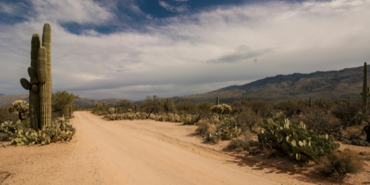 How to Tell if My Son or Daughter Needs Addiction Treatment or Mental Health Treatment