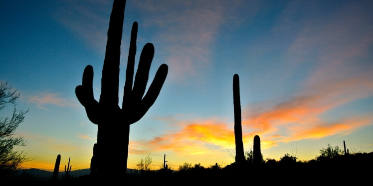 How to Help Someone with Mental Health Issues