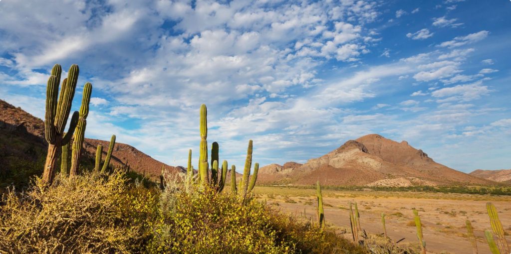 Desert Recovery Centers | How to Wean Off Adderall? Desert Recovery Centers | How to Wean Off Adderall?