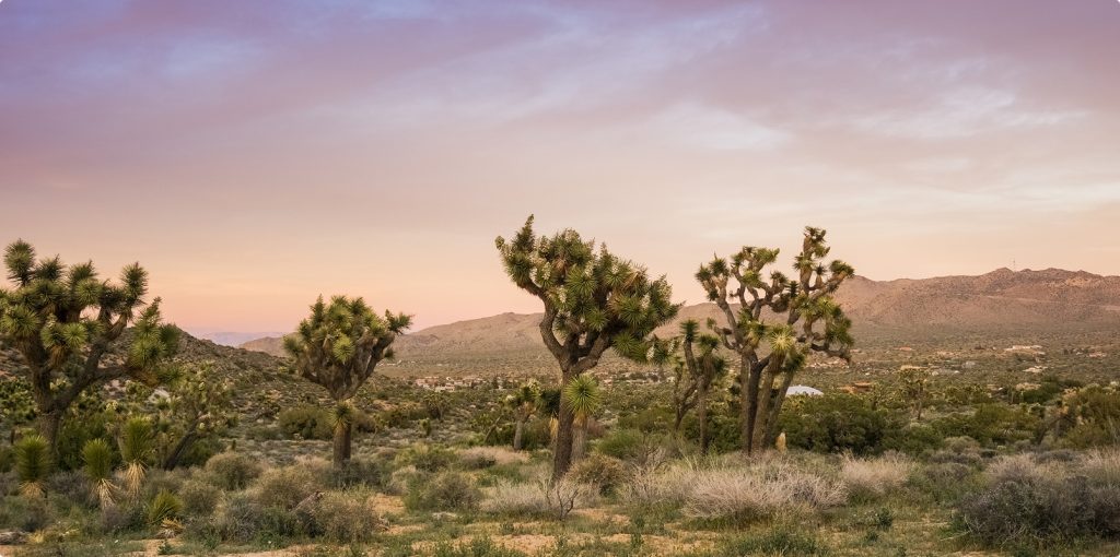 Desert Recovery Centers | How to Wean Off Alcohol? Desert Recovery Centers | How to Wean Off Alcohol?