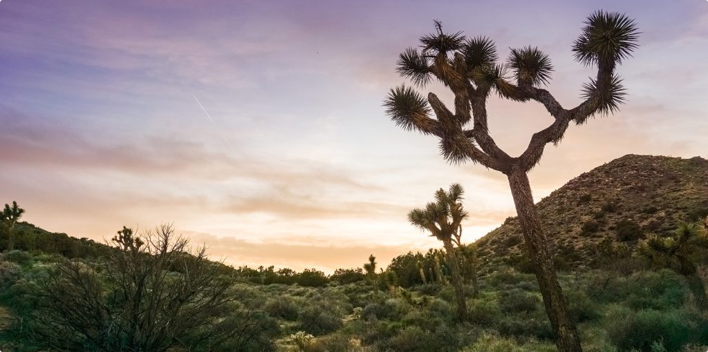 Desert Recovery Centers | How to Taper Off Antidepressants? Desert Recovery Centers | How to Taper Off Antidepressants?