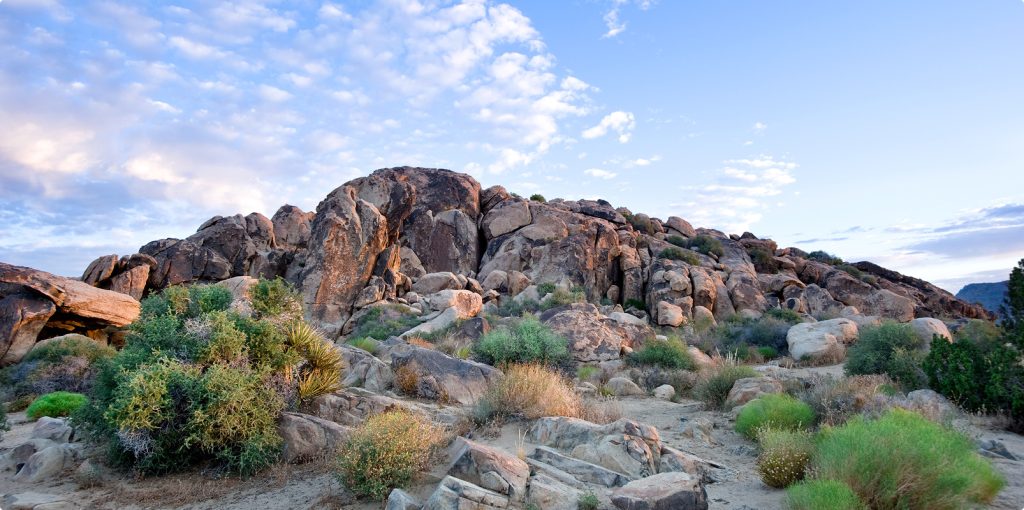 Desert Recovery Centers | How to Taper Off Benzodiazepines? Desert Recovery Centers | How to Taper Off Benzodiazepines?