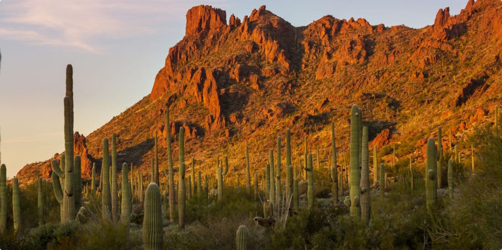 Desert Recovery Centers | How to Taper Off of Fentanyl? Desert Recovery Centers | How to Taper Off of Fentanyl?