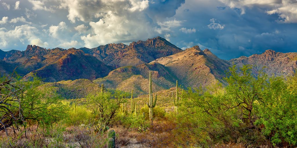 Desert Recovery Centers | Why You Need Professional Drug or Alcohol Detoxification Desert Recovery Centers | Why You Need Professional Drug or Alcohol Detoxification