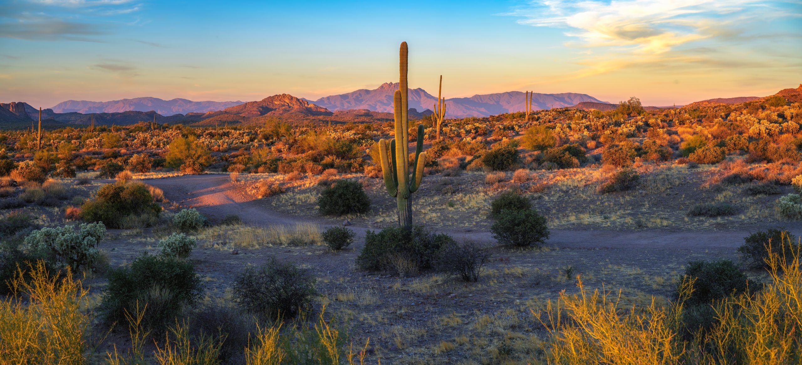 Is There a Link Between Alcohol Use and Suicide Risk?